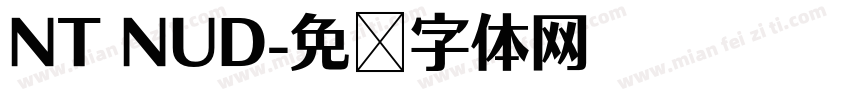 NT NUD字体转换